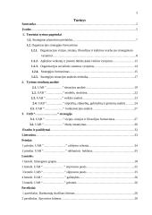 Įmonės plėtra 3 puslapis