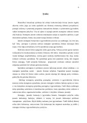 Įmonės plėtra 4 puslapis