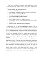 Įmonės plėtra 8 puslapis