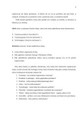 Įmonės plėtra 9 puslapis