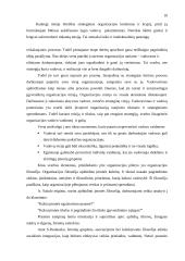 Įmonės plėtra 10 puslapis