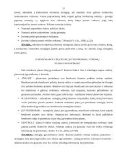 Įmonės rinkodaros planas: viešbutis "Baltpark" 11 puslapis