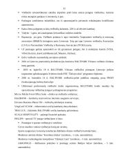 Įmonės rinkodaros planas: viešbutis "Baltpark" 13 puslapis