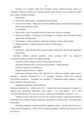 Įmonės rinkodaros planas: viešbutis "Baltpark" 14 puslapis