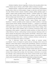 Įmonės rinkodaros planas: viešbutis "Baltpark" 16 puslapis