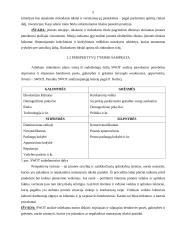 Įmonės rinkodaros planas: viešbutis "Baltpark" 5 puslapis