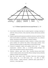 Įmonės valdymo analizė: UAB "Samsonas" 13 puslapis
