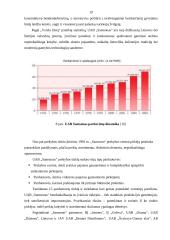 Įmonės valdymo analizė: UAB "Samsonas" 19 puslapis