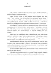 Įmonės valdymo analizė: UAB "Samsonas" 3 puslapis
