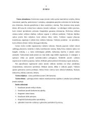 Įmonės valdymo analizė: UAB "Samsonas" 4 puslapis