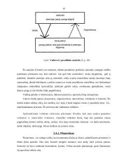 Įmonės valdymo analizė: UAB "Samsonas" 10 puslapis