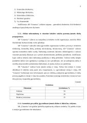 Įmonės veiklos įvertinimas, remiantis vertinimo modeliu nacionaliniam kokybės prizui laimėti: UAB "Lituanica" 8 puslapis