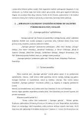 Įvaizdžio kūrimo ir valdymo analizė "Aprangos galerija" pavyzdžiu 13 puslapis