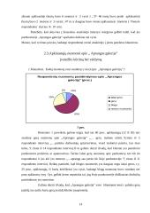 Įvaizdžio kūrimo ir valdymo analizė "Aprangos galerija" pavyzdžiu 14 puslapis