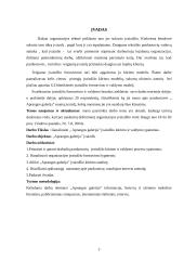 Įvaizdžio kūrimo ir valdymo analizė "Aprangos galerija" pavyzdžiu 3 puslapis