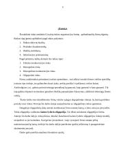 Kainų lyderio modelis oligopolinėje rinkoje 2 puslapis