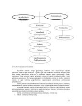 Keleivių vežimas Vilniaus troleibusu 12 puslapis