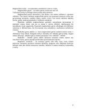 Keleivių vežimas Vilniaus troleibusu 8 puslapis