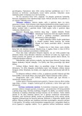 Atmosferos oro tarša 5 puslapis