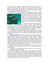 Atmosferos oro tarša 9 puslapis