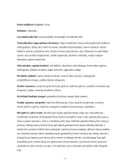 Kiaulių dizenterija 3 puslapis