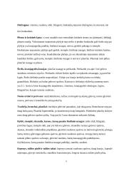 Kiaulių dizenterija 4 puslapis