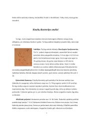 Kiaulių dizenterija 6 puslapis