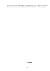 Klasikinė ir šiuolaikinė erdvės ir laiko samprata 19 puslapis