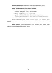 Klasikinė ir šiuolaikinė erdvės ir laiko samprata 4 puslapis