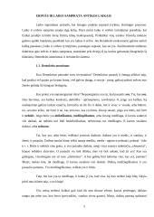 Klasikinė ir šiuolaikinė erdvės ir laiko samprata 5 puslapis