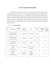 Bendras sklypo projektas ir vienmečių gėlių gėlynas 3 puslapis