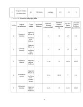 Bendras sklypo projektas ir vienmečių gėlių gėlynas 4 puslapis