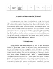 Bendras sklypo projektas ir vienmečių gėlių gėlynas 5 puslapis