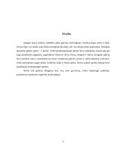 Bendras sklypo projektas ir vienmečių gėlių gėlynas 7 puslapis