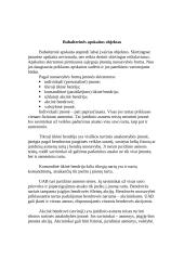 Buhalterinės apskaitos objektas ir dokumentai 3 puslapis