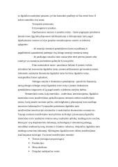 Buhalterinės apskaitos objektas ir dokumentai 7 puslapis