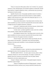 Buhalterinės apskaitos objektas ir dokumentai 8 puslapis