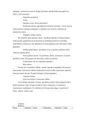 Buhalterinės apskaitos objektas ir dokumentai 9 puslapis