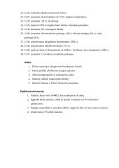 Buhalterinė apskaita: kompiuterių pardaviamas ir taisymas UAB "Gita" 2 puslapis