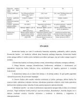 Komercinių bankų veikla Lietuvoje 17 puslapis
