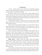 Komercinių bankų veikla Lietuvoje 5 puslapis