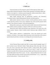 Komercinių bankų veikla Lietuvoje 9 puslapis