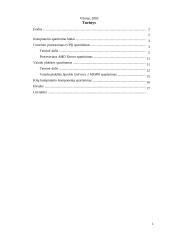 Kompiuterio spartinimas 2 puslapis