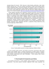 Kompiuterio spartinimas 15 puslapis