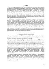 Kompiuterio spartinimas 3 puslapis