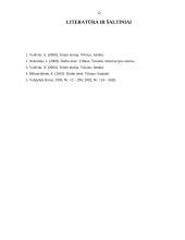 Darbo teisės šaltiniai: sąvoka, rūšys 11 puslapis