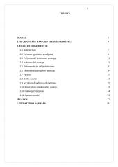 Dokumentų valdymas: "Dangaus bankas" 2 puslapis