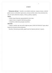 Dokumentų valdymas: "Dangaus bankas" 3 puslapis