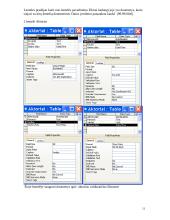 Kompiuterizuotos informacinės sistemos projektas: UAB "Video nuoma" 13 puslapis