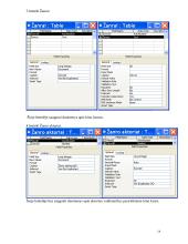 Kompiuterizuotos informacinės sistemos projektas: UAB "Video nuoma" 14 puslapis